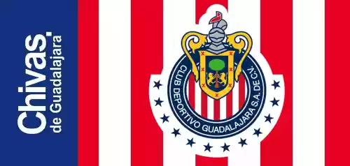 vectores plantilas FUTBOL,